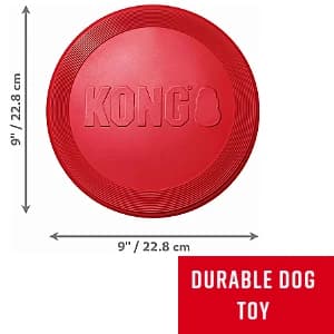 Flyer — Natural Rubber Flying Disc Fetch Toy — collection imagery