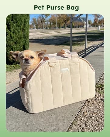 Raised Dog Bed with Cooling Mat — collection imagery