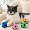 Sponge Soccer Ball Cat Toys for Cats and Kittens - Interactive and Colorful Plush Toy