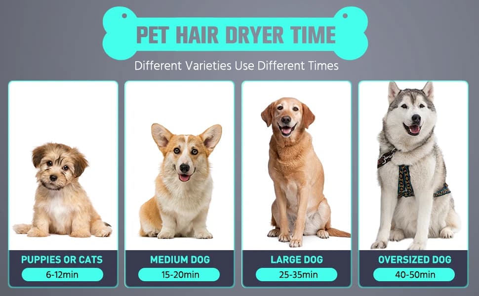 Pet Dryer, 5.2HP/3800W Pet Grooming Dryer with Adjustable Speed and Temperature Control Dog Blow Dryer, Pet — product details