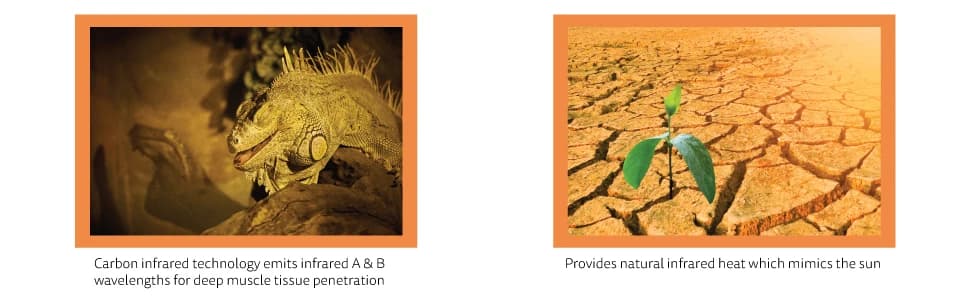 Deep Thermal Heat Lamp for Reptiles with Carbon Infrared Technology — collection imagery