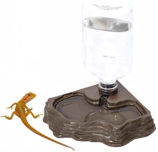 Lizard Bearded Dragon Water Bowl Dish Automatic Dispenser,17oz
