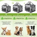 24-inch Portable Collapsible Dog Crate for Small Dogs up to 27lbs