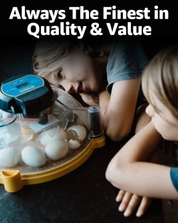 Ecoglow Safety 600 Chick or Duckling Brooder — collection imagery