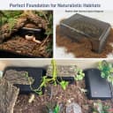 Reptile Hide Box — Snake and Gecko Hide