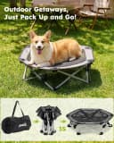 Raised Dog Bed with Cooling Mat