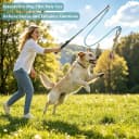 Flirt Pole for Dogs — Interactive Pole for Small