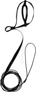 Pet Bird Harness and Leash — Petite