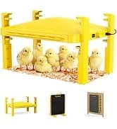 Chick Brooder Heater Plate for Baby Chicks — collection imagery