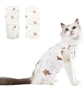 Dog Backpack for Small Dogs to Wear — collection imagery