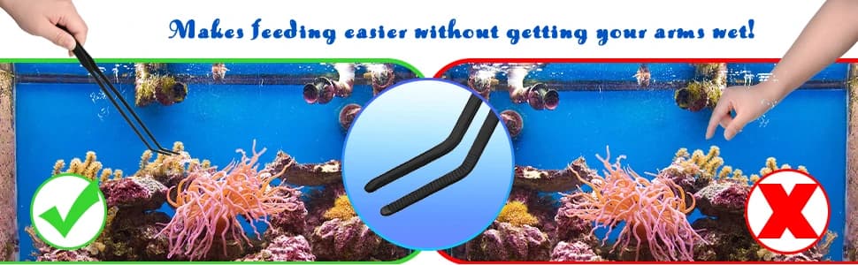 3 Pcs Axolotl Tank Accessories — collection imagery