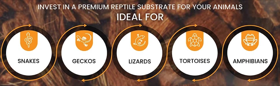 ReptiChip Reptile Substrate Coconut Chip Bedding 72 Quart Compressed Organic Coco Husk Block for Snake Habitat — collection imagery