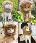 Lion Mane Wig for Cat Costume Pet Adjustable Washable Comfortable Fancy Lion Hair Cat Clothes Dress for
