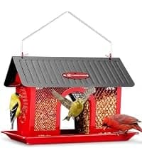 Metal Bird Feeders for Outdoors Hanging — collection imagery