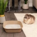 Disposable Cat Litter Box Large, 6 Count, Durable Portable for Travel and Home, Eco-Friendly Disposable Litter
