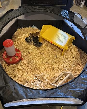 Small Animal Playpen — Waterproof Foldable Pet Playpen — collection imagery