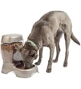 Vari Dog Kennel — Carrier for Large Dogs — collection imagery