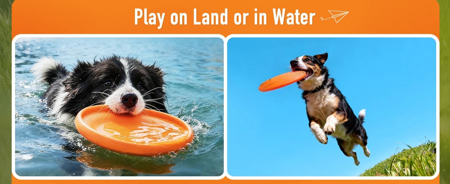 Dog Flying Disc — 2 Pack — product details