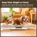 Wiggle-Proof Digital Pet Scale for Cats