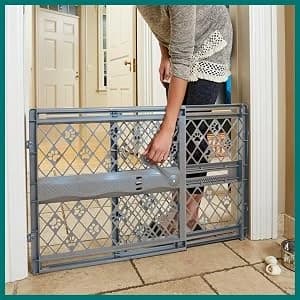 Paws Portable Pet Gate: 26-40" Wide Expandable — collection imagery