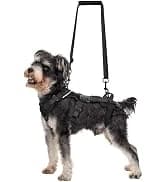 Service Dog Vest Harness, Service Dog Cape Guardian Dog Backpack Harness with Pouches Dog Saddle Bag for Small — collection imagery