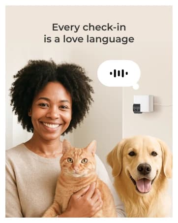 Cam 360 – Wi-Fi Pan-Tilt Pet Security Camera with App — collection imagery