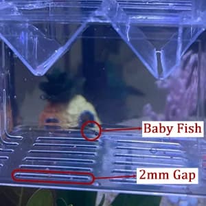 Aquarium Fish Breeder Box Plastic Fish Isolation Breeding Box Hatching Incubator Box for Baby Fishes Shrimp — collection imagery