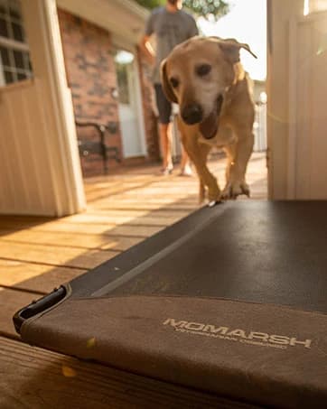 Final Stand Dog Adjustable Training Platform and Storage Panel | Hunting Stand | Elevated Pet System for Place — collection imagery