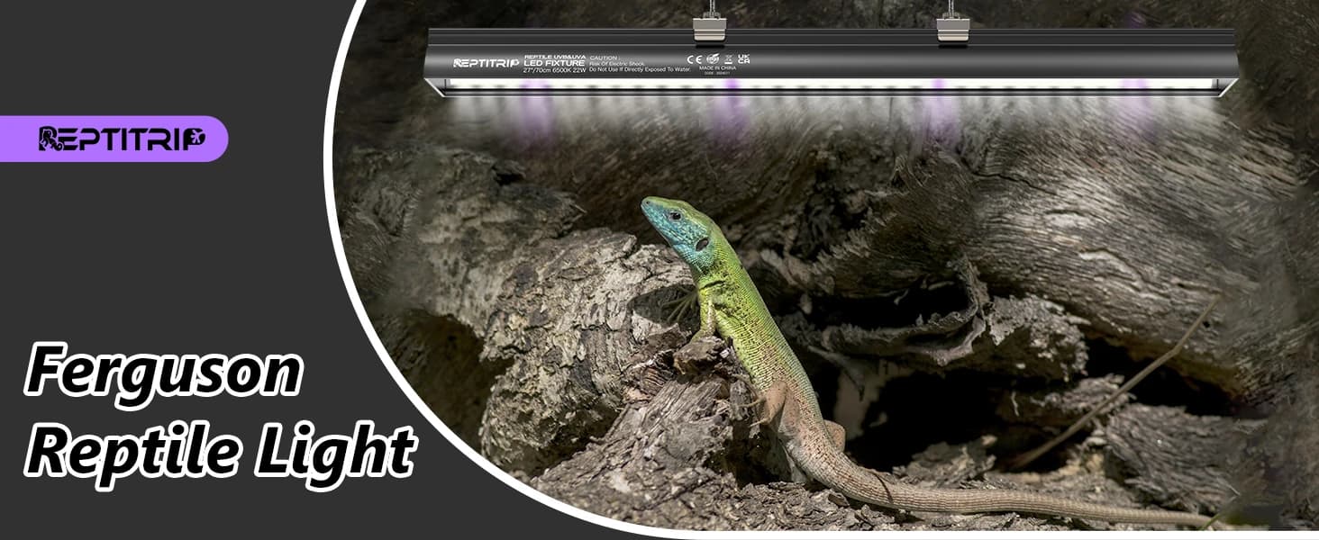 16-Inch LED UVB Reptile Light with Auto On/Off and Preset Day-Night Cycle Dimming — product details