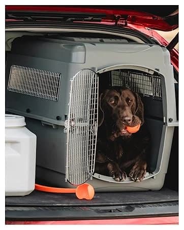 Vari Dog Kennel — Carrier for Large Dogs — collection imagery