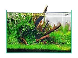 Aquarium Soil for Planted Tanks — Nutrient-Rich Organic Formula