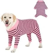 Dog Backpack for Small Dogs to Wear — collection imagery
