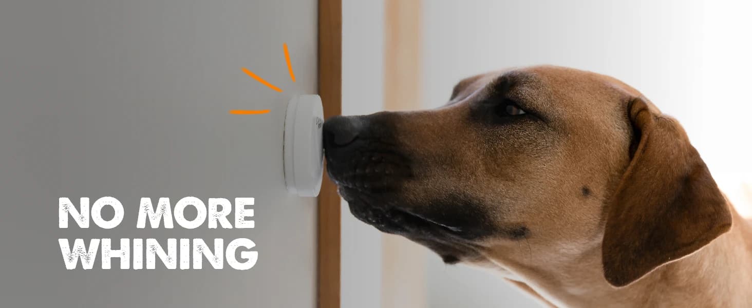 Smart Bell 2.0 Dog Door Bell for Potty Training Dogs and Puppies — collection imagery