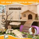 40 PCS Hamster Toys Set — Guinea Pig Toys Enrichment Hamster Tubes and Tunnels