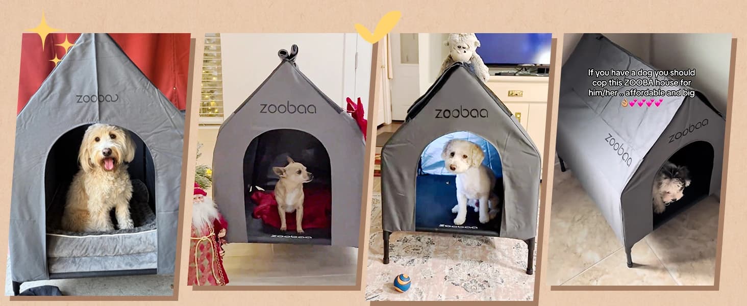 Large Dog House Outdoor — 36in Elevated 2-in-1 Cot and Canopy — collection imagery