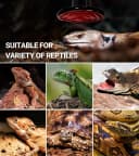 100W Reptile Heat Lamp 2Pack Ceramic Heat Emitter Night Heat Lamp Bulbs Reptile Terrarium Heat lamp Tank Heat