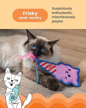 Nina Ottosson Melon Madness Puzzle and Play Cat Toy — collection imagery