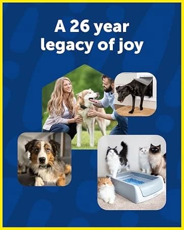 Happy Ride Folding Dog Ramp — collection imagery