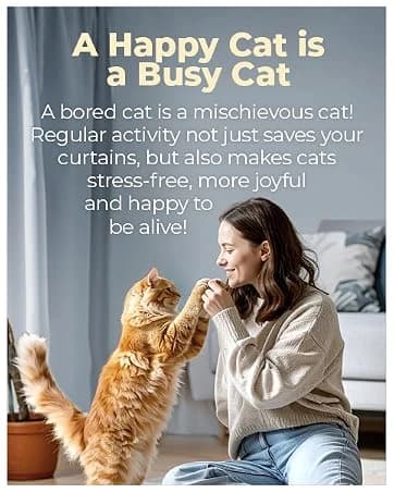 48'' XL Cat Wheel β Safe, Quiet and Stable Exercise Wheel for Large Indoor Cats up to 45 lbs β 15.7'' β collection imagery