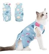Dog Backpack for Small Dogs to Wear — collection imagery