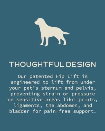 Dog Lift Harness — Full Support — collection imagery