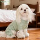 Green Striped Dog Pajamas: 4-Legged Cotton Stretchable Jumpsuit Pjs - Lightweight Cozy Puppy Onesie Clothes