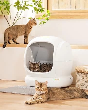 Pet Air Purifier for Home — Dual-sided Intake Air Purifier — collection imagery