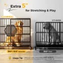 48'' Heavy Duty Dog Crates for Large Dogs