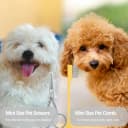 Dog Tear Stain Remover Comb for Small Doggy and Cats Pet Grooming Tool with Round Tip Stainless Steel Mini