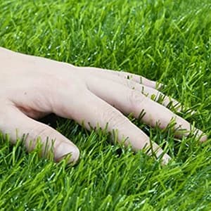 Artificial Grass — 47.3"x31.5" Professional Dog Grass Mat — collection imagery