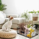 Dog Toy Basket Metal — Dog Toy Box