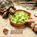 4Pcs Reptile Food Water Dish — Shallow Feeding Dish for Tortoise Terrarium