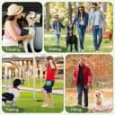 Dog Treat Pouch — Portable Puppy Dog Training Treat Bag