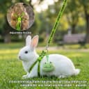 2PCS Ferret Harness and Leash — Adjustable Guinea Pig Harness